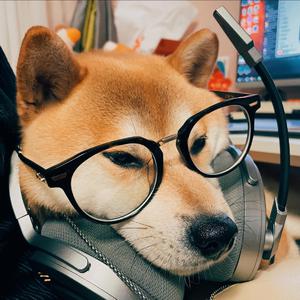 阿部夏树的所有电影大全
