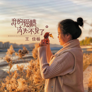 阿部夏树的所有电影大全
