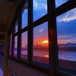 阿部夏树的所有电影大全
