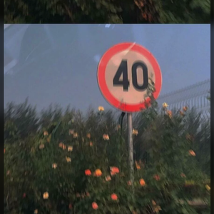 阿部夏树的所有电影大全
