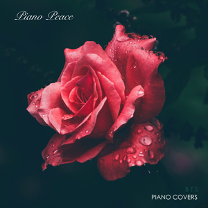 阿部夏树的所有电影大全
