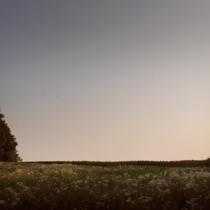 阿部夏树的所有电影大全
